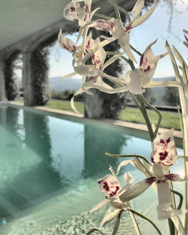 Il Sassoscritto Bed&Breakfast Montecalvo Versiggia Esterno foto